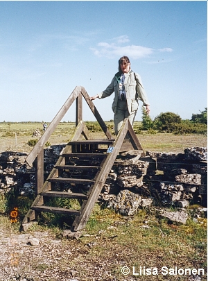 In the Alvar we crossed the stone-fences with these stairs. Photographed in windy Mckelmossen.